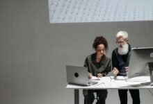 launch of wuvdbugflox software