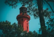 wurduxalgoilds are lead free